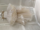 IMG_10493.jpg_product_product_product_product_product_product_product_product_product_product_product_product_product_product_